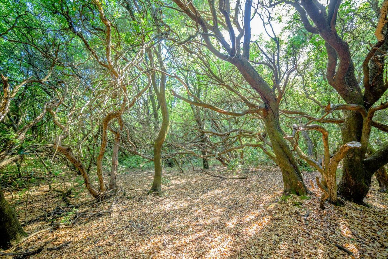 Апартаменти Menecrates Rustic - San Matteo Agios Matthaios  Екстер'єр фото